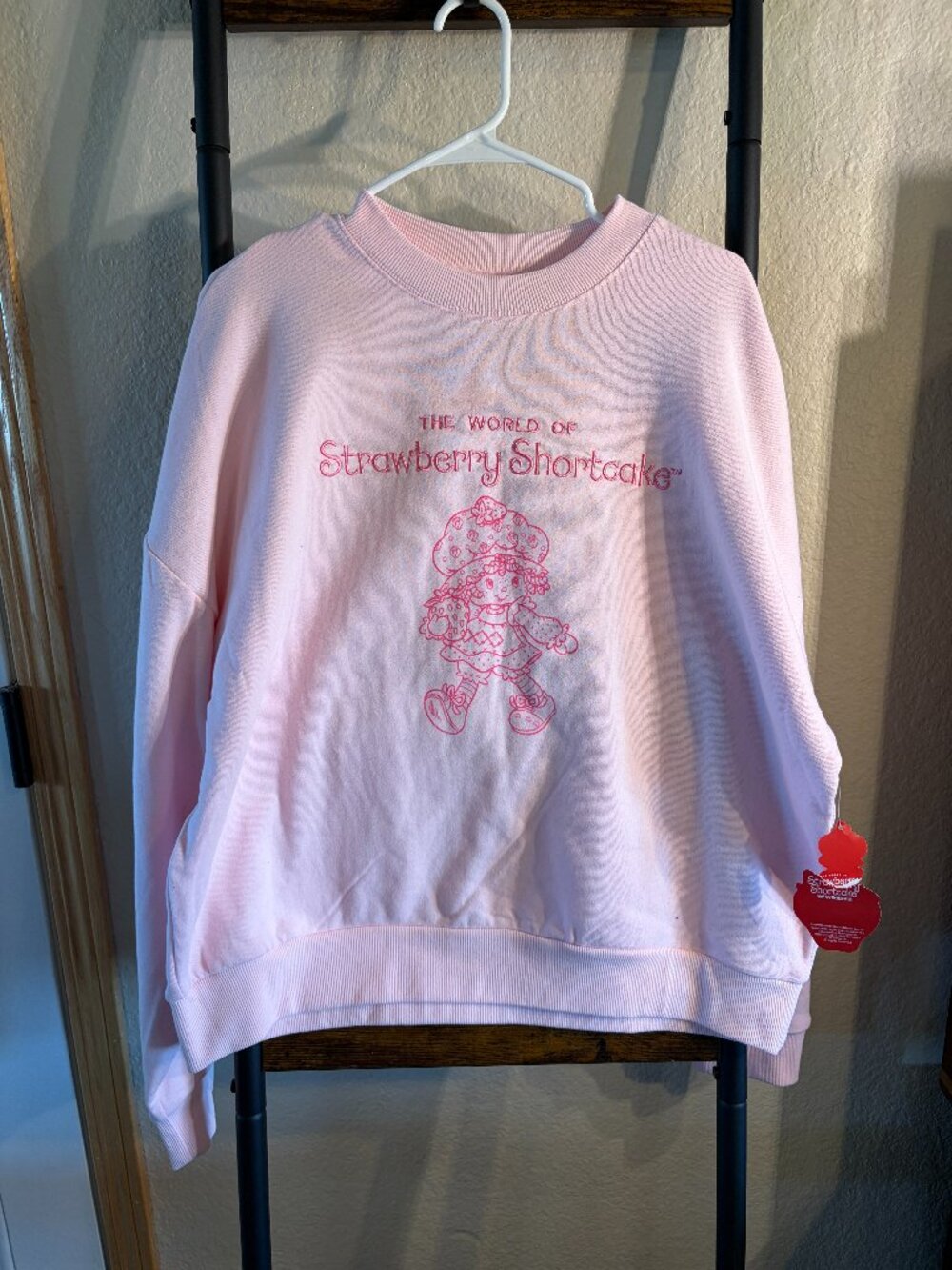 Strawberry Shortcake Pink Crewneck Sweatshirt Womens Large Graphic NWT